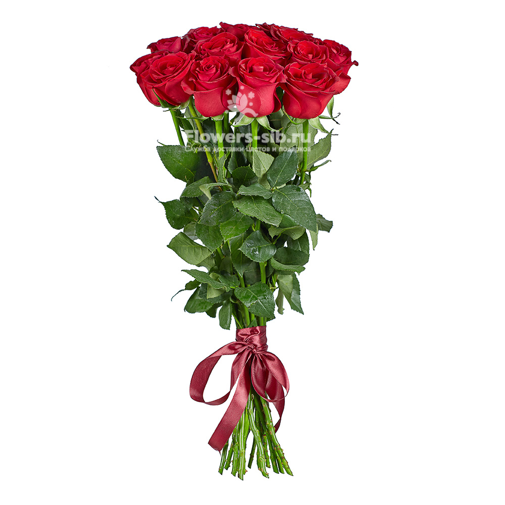 Premium Red Roses